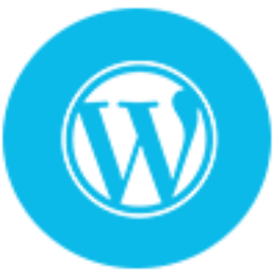 wordpress-training-icon-1